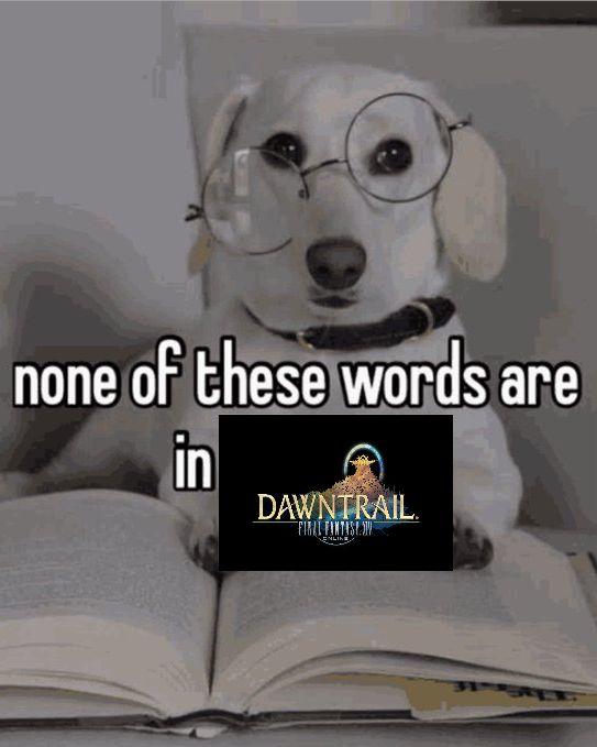 FFXIV meme

a dog with glasses holding open a book with text that says "none of these words are in dawntrail"