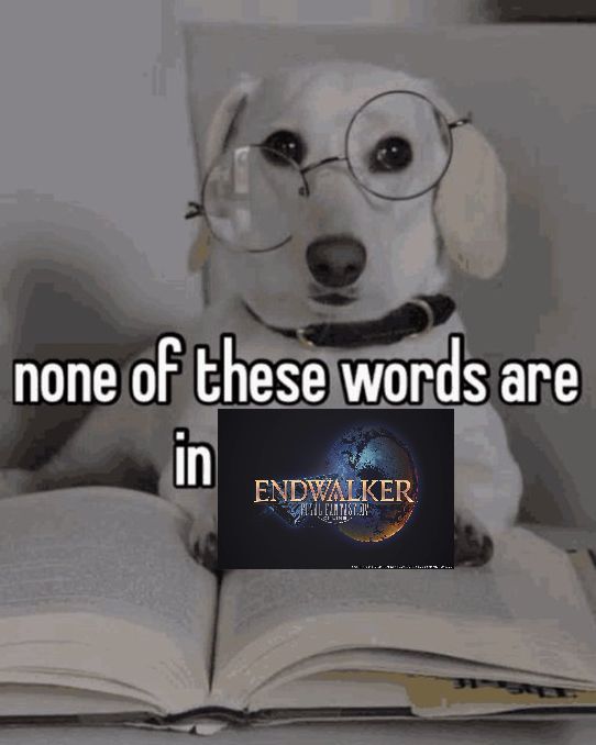 FFXIV meme

a dog with glasses holding open a book with text that says "none of these words are in endwalker"