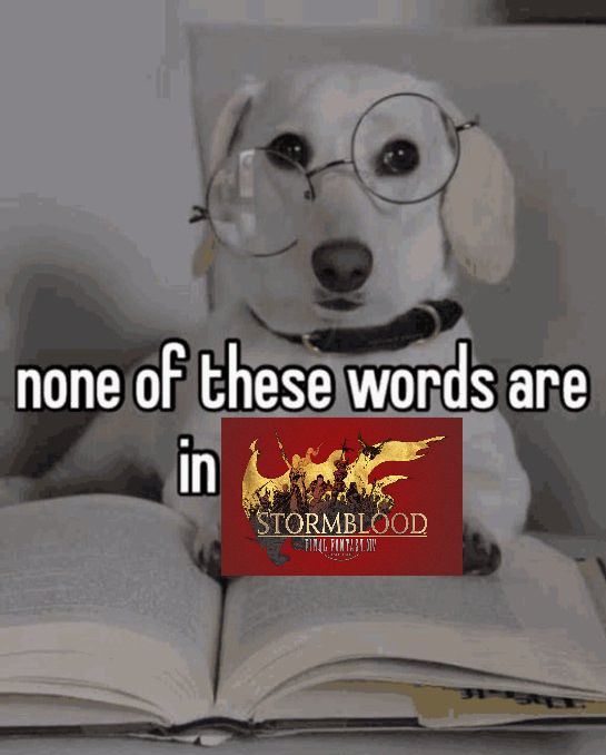 FFXIV meme

a dog with glasses holding open a book with text that says "none of these words are in stormblood"