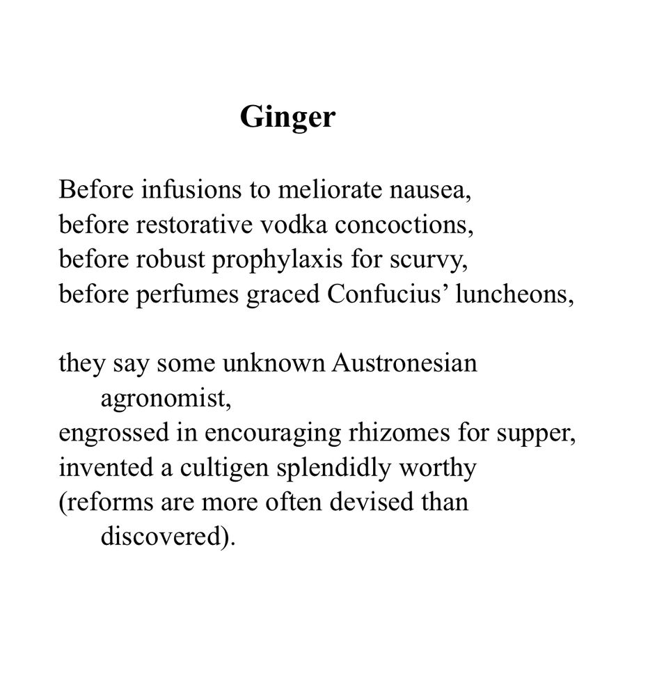 Ginger

Before infusions to meliorate nausea,
before restorative vodka concoctions,
before robust prophylaxis for scurvy,
before perfumes graced Confucius’ luncheons,

they say some unknown Austronesian agronomist,
engrossed in encouraging rhizomes for supper,
invented a cultigen splendidly worthy
(reforms are more often devised than discovered).
