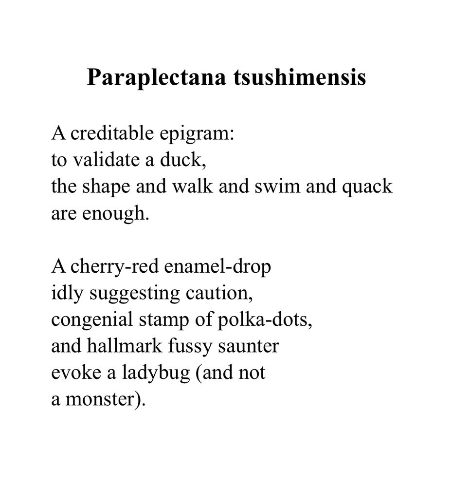 Paraplectana tsushimensis

A creditable epigram:
to validate a duck,
the shape and walk and swim and quack
are enough.

A cherry-red enamel-drop
idly suggesting caution,
congenial stamp of polka-dots,
and hallmark fussy saunter
evoke a ladybug (and not
a monster).