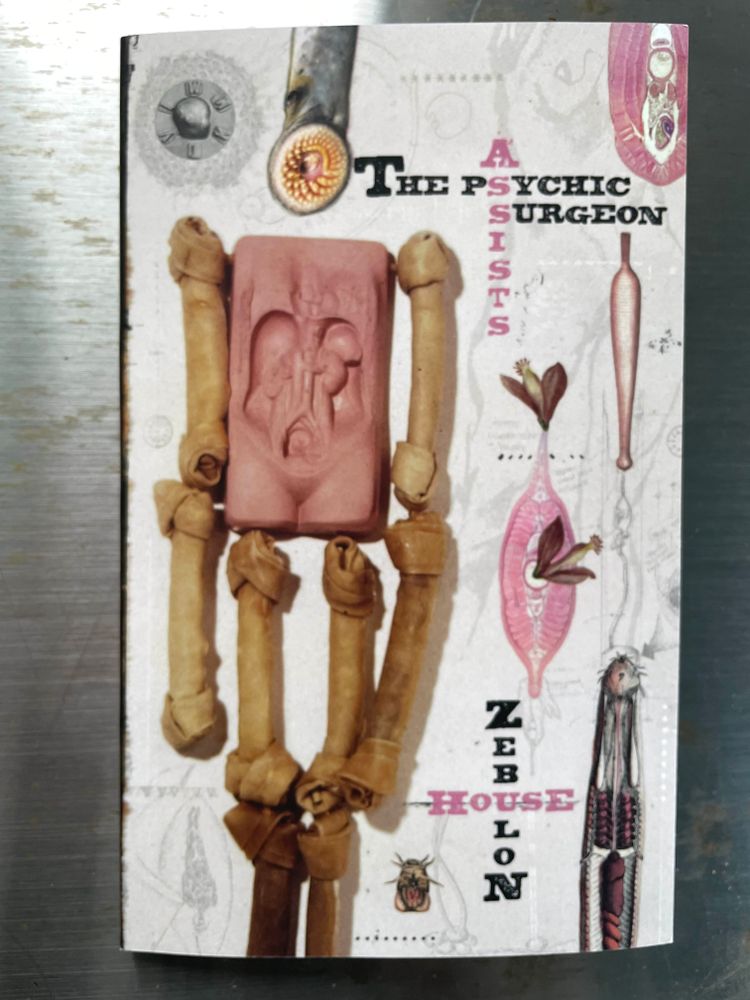 The cover of Psychic Surgeon: rawhide bones and anatomical cross-sections in a sexually suggestive arrangement.