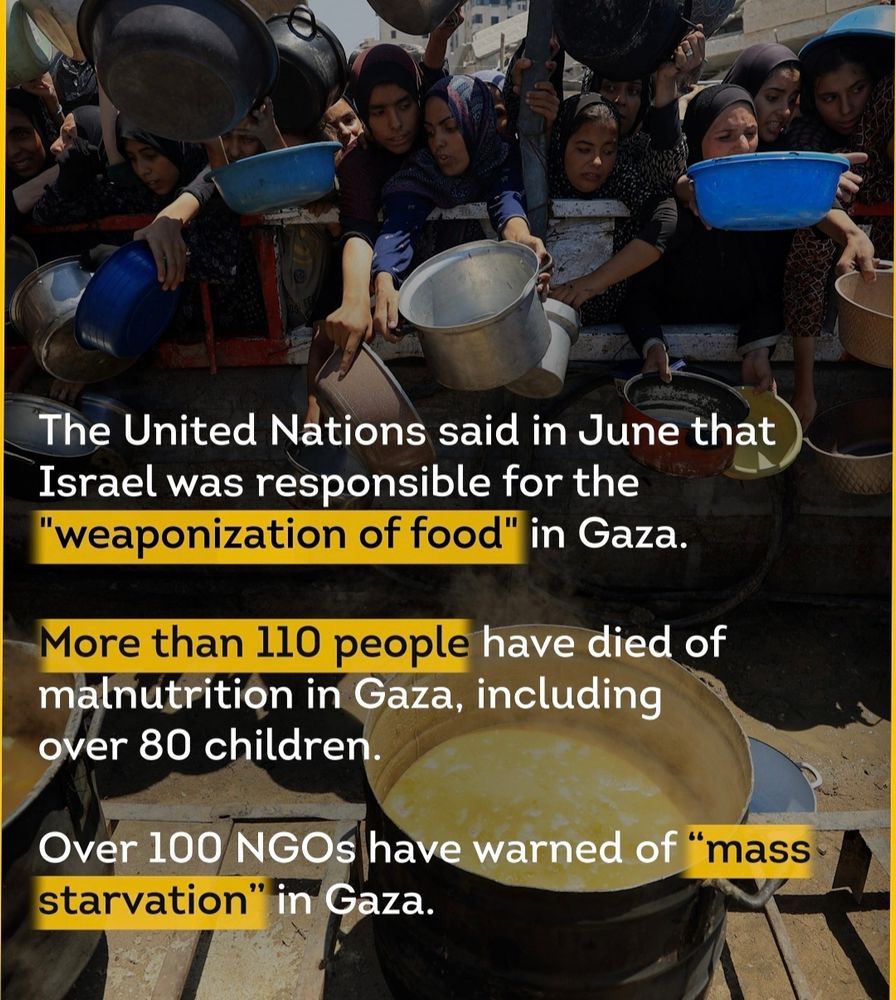 The United Nations said in June Israel was responsible for the "weaponization of food" in Gaza.
More than 110 people have died of malnutrition in Gaza, including over 80 children.
Over 100 NGOs have warned of "mass starvation" in Gaza.