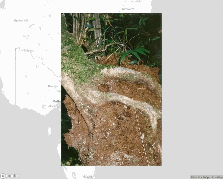 A photo of or from a national park from the linked website, overlaid on a cropped world map where it's located.