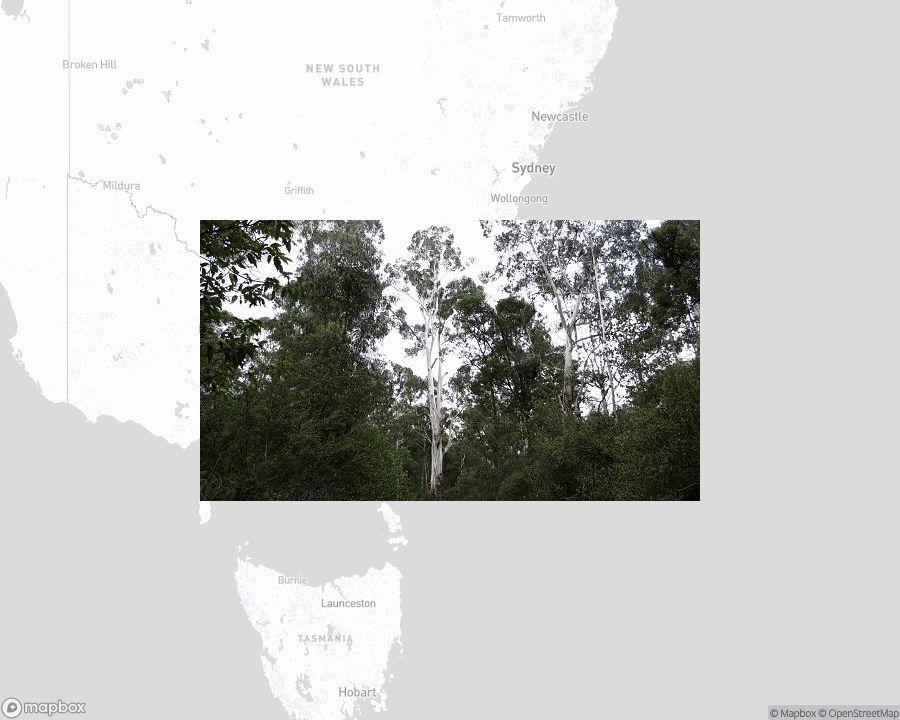 A photo of or from a national park from the linked website, overlaid on a cropped world map where it's located.