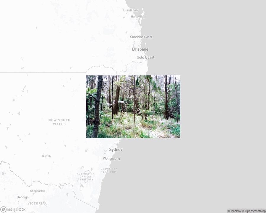 A photo of or from a national park from the linked website, overlaid on a cropped world map where it's located.