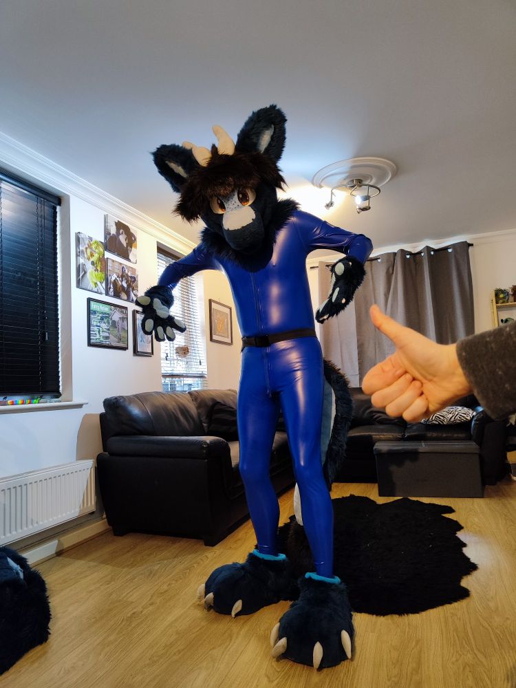 Navy blue dragon fursuiter now wearing a blue rubber catsuit and looking bemused at the change. A thumbs up seen on the right of the image
