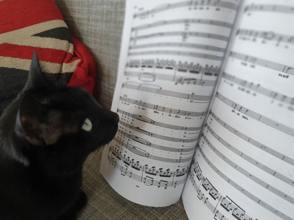 Shiny black cat sitting on grey tweed sofa with backdrop of a union-jack cushion, her light yellow eyes looking up interestedly toward the piano score of a Russian opera standing in front of her.