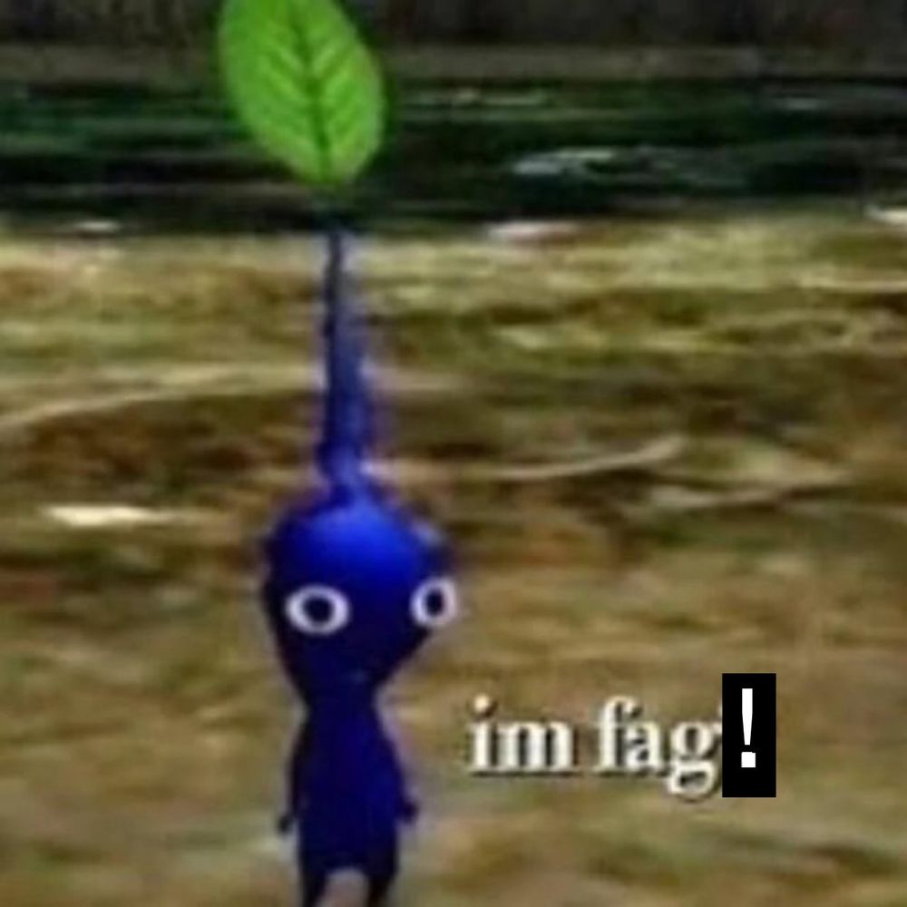 “I’m fag?” Meme but it’s edited to “I’m fag!”