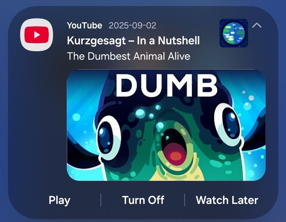 screenshot of a YouTube push notification for a Kurzgesagt — In A Nutshell video called "The dumbest animal alive"
