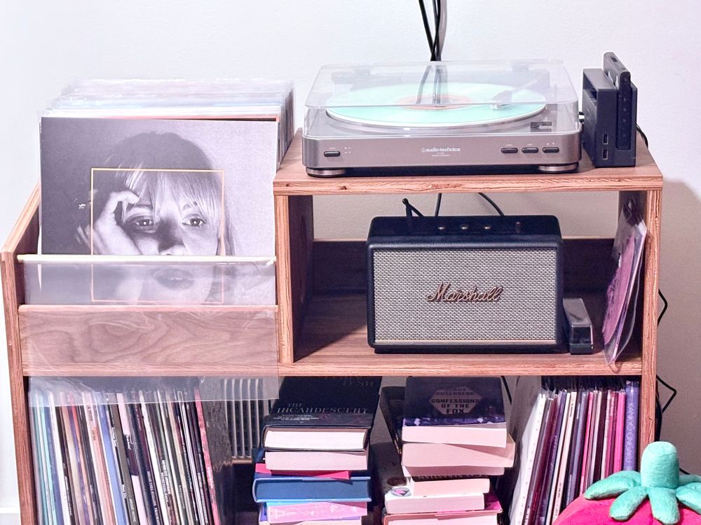 Record cabinet displaying the new Hayley Williams. The bottom shelf is about half records, half books.