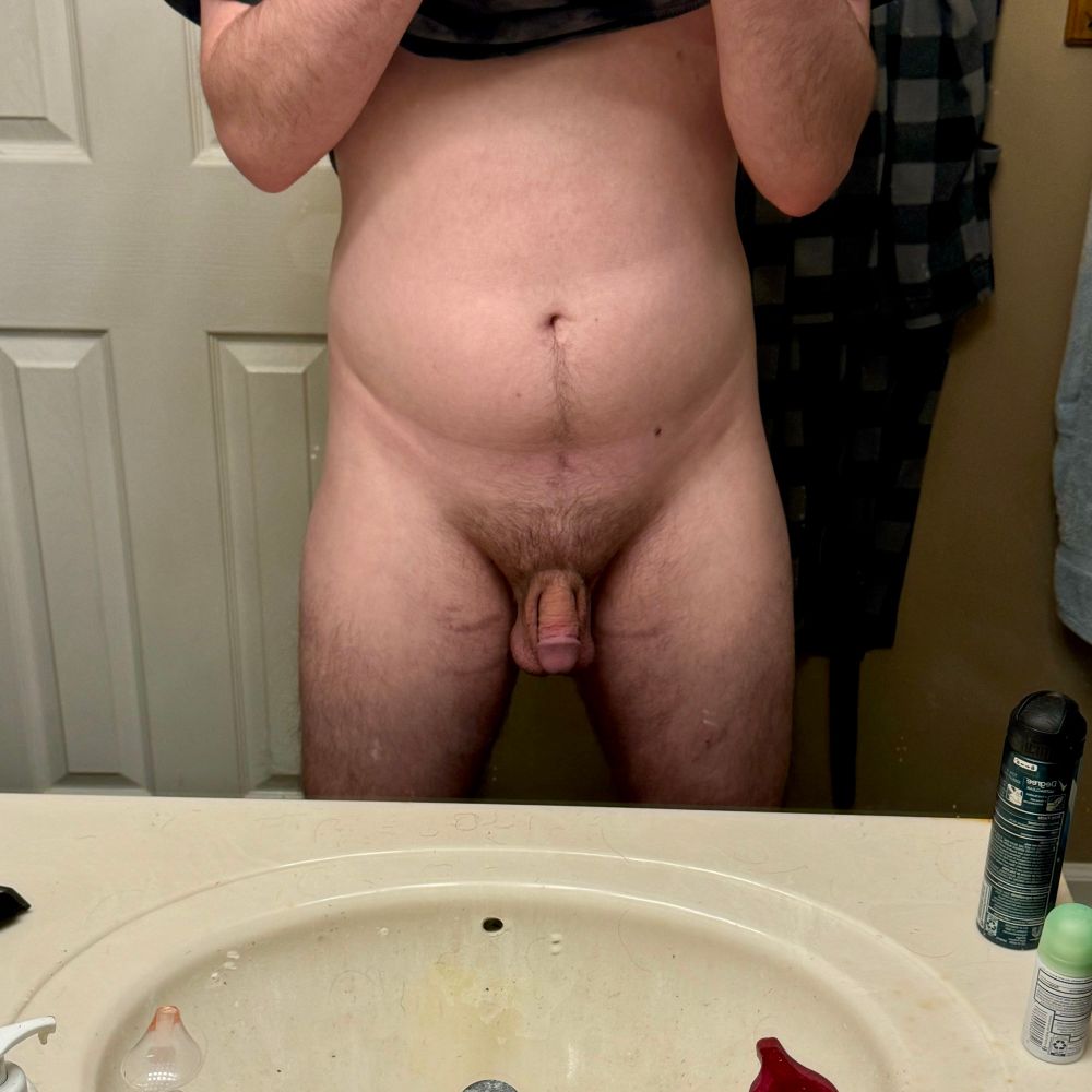 Same photo as first but the bush is gone 😔