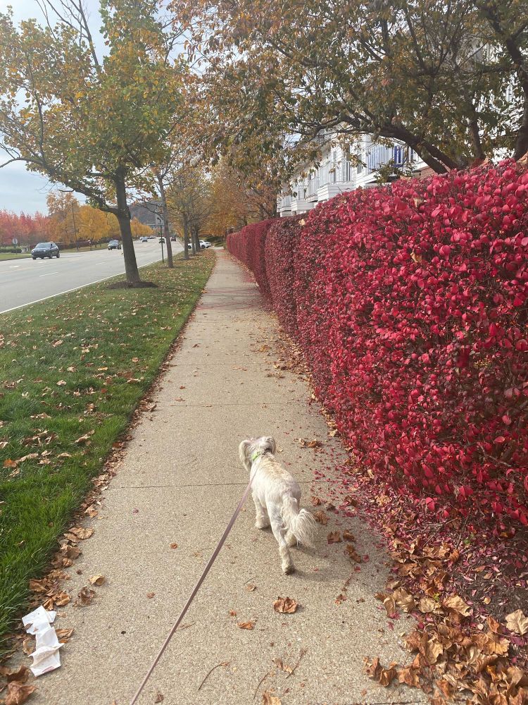 She still love nature walks 