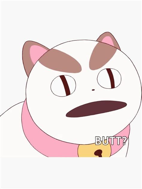 Puppycat, a white cat, with a dorky look on his face