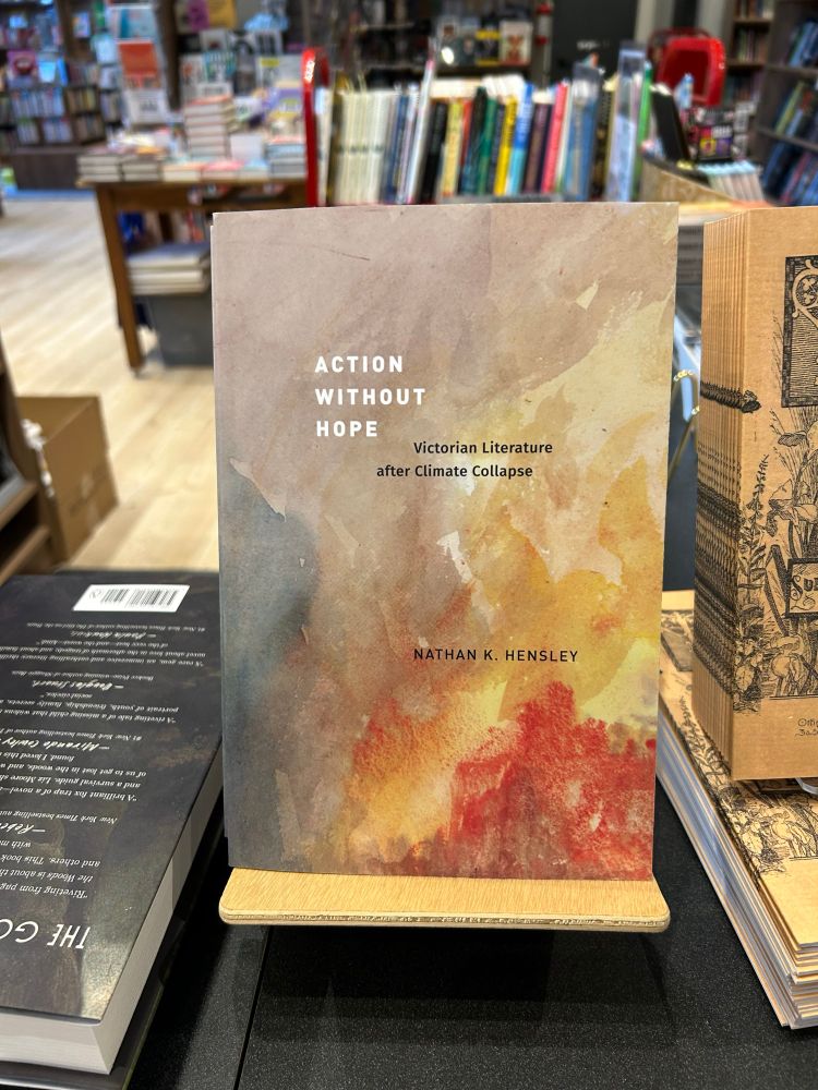 Photograph of action without hope on a stand at people’s book, Takoma Park, Maryland