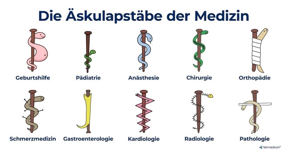 Das Bild zeigt eine illustrierte Darstellung der Äskulapstäbe, die verschiedene medizinische Fachrichtungen repräsentieren. Jeder Stab ist mit einer Schlange in unterschiedlicher Farbe und Form versehen und wird durch den Namen der jeweiligen Fachrichtung ergänzt.

Im Detail sind folgende Fachrichtungen abgebildet: Geburtshilfe (rosa Schlange mit dickem Bauch), Pädiatrie (kleine grüne Schlange), Anästhesie (blaue, schlafende Schlange), Chirurgie (dunkelgrüne Schlange mit Schnitten), Orthopädie (gebrochener Stab mit Bandage), Schmerzmedizin (braune Schlange mit Nadeln), Gastroenterologie (gelbe Schlange mit Stab quer durch den Körper), Kardiologie (gezackte rote Schlange), Radiologie (schwarze Schlange mit Knochen) und Pathologie (tote Schlange quer über den Stab). Über den Illustrationen steht der Titel "Die Äskulapstäbe der Medizin" in blauer Schrift. Am unteren rechten Rand befindet sich ein Logo. Das Bild hat eine klare, informative und freundliche Atmosphäre, die durch die bunten und einfachen Illustrationen erzeugt wird. Die Stimmung ist sachlich und aufklärerisch.