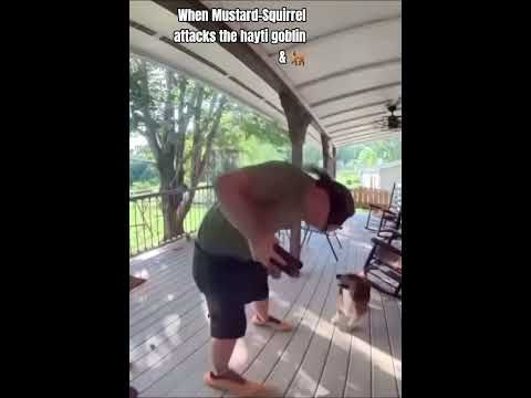 ‎⁨@Mustard-Squirrel4⁩   making the boy dance #funny