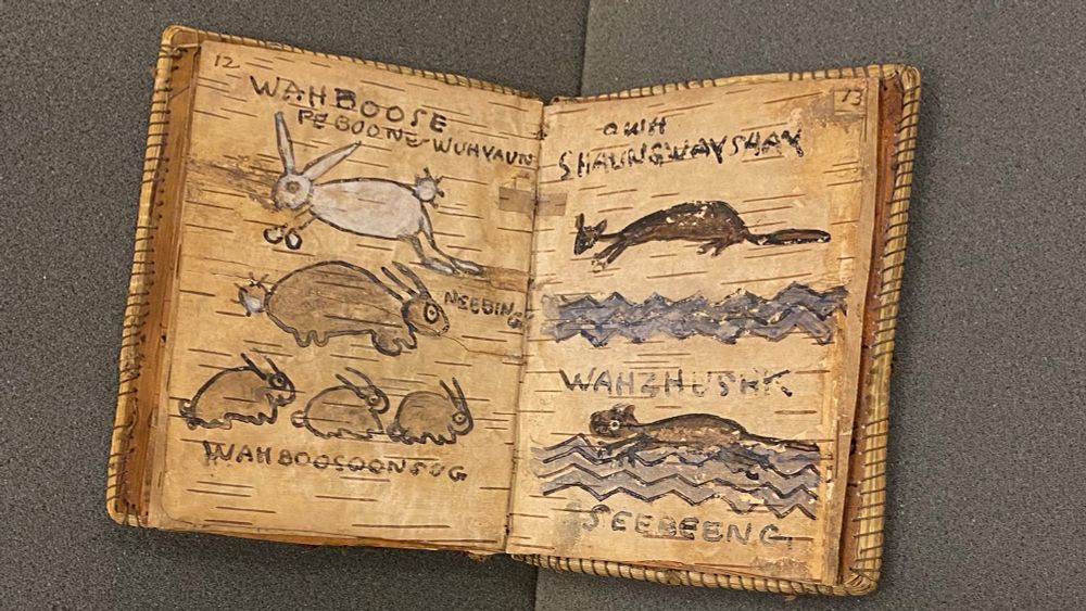 Birchbark boom with images of animals and their Anishinaabe names.