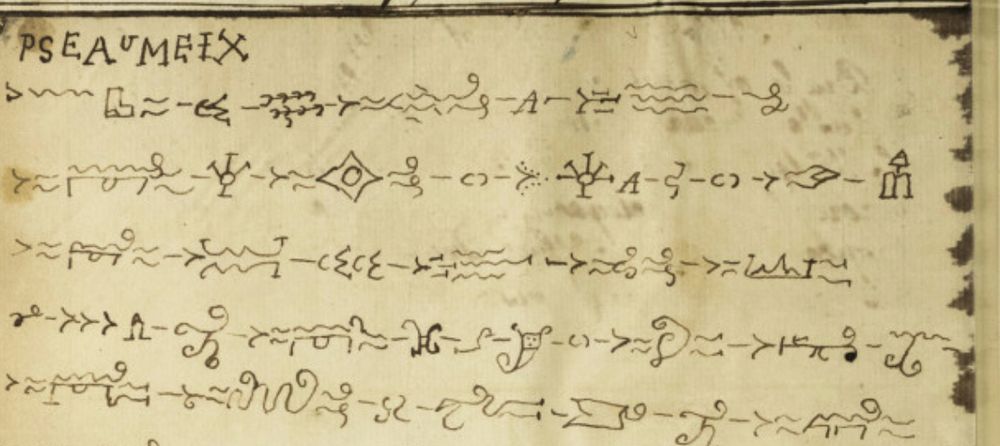 A piece of paper marked with unusual hieroglyphic marks