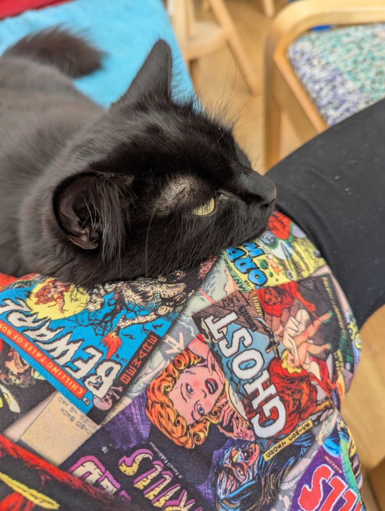 Black cat resting her head on a knee covered with comic book dress.