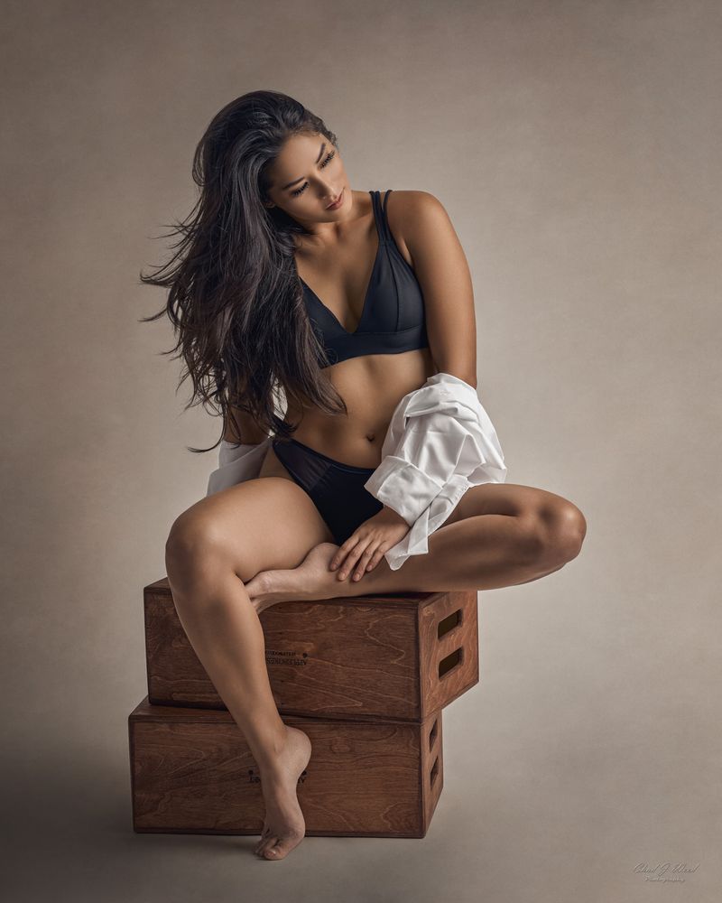 Phoenix Boudoir Photographer: Beautiful woman wearing an oversized button-up shirt and lingerie