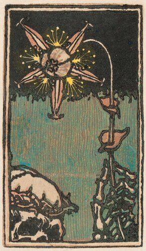 Death and the Flower