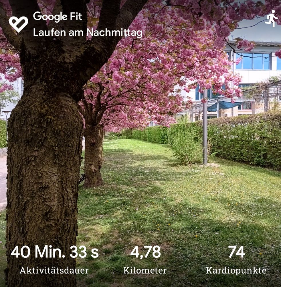 Blick über eine Wiese an rosig blühenden Kirschbäumen vorbei.
40 min 33 sec Aktivitätsdauer, 4,78 Kilometer, 74 Kardiopunkte