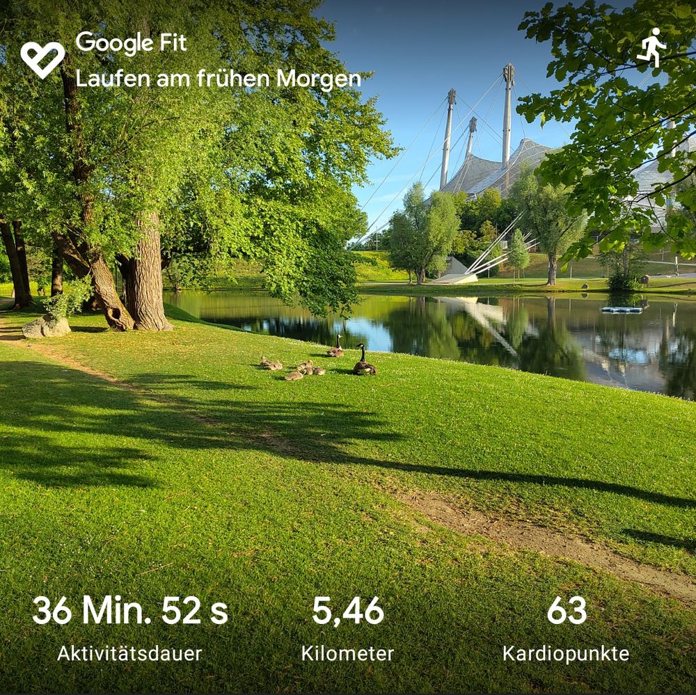 Sommerliche Stimmung im Olympiapark, Blick über grüne Wiese, auf der eine Gänsefamilie ruht, und See auf das Dach des Olympiastadions zwischen grünen Bäumen.