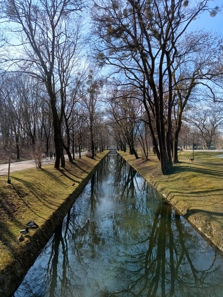 Ein Kanal, in dem sich die umgebenden kahlen Bäume spiegeln. Den Kanal umgeben braungrüne Grasflächen. Der Himmel über den Bäumen ist blau.