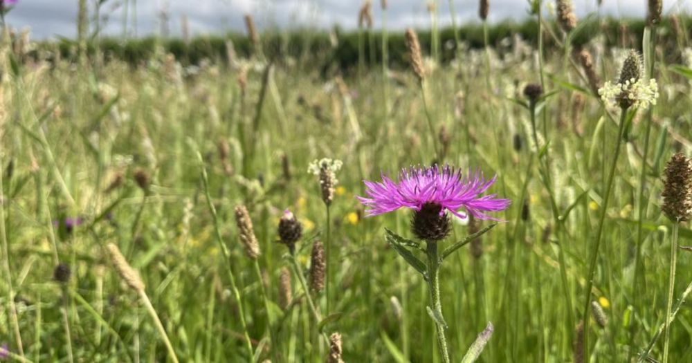 Hidden Nature Week | Education Nature Park