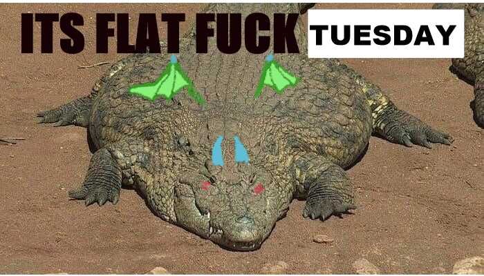 ITS FLAT FUCK TUESDAY