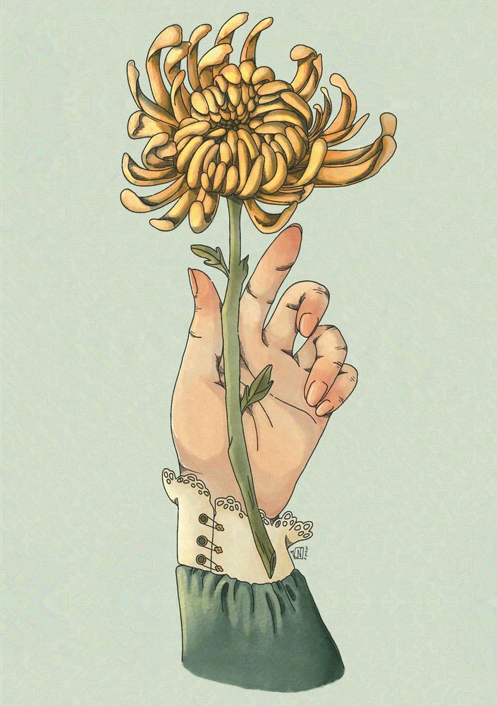 A drawing of a Caucasian hand wearing a green sleeve with a lacy cuff ever so slightly holding a yellow chrysanthemum. The illustration has a light blue background.