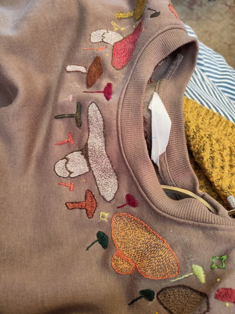 A picture of a brown jumper with mushrooms embroidered around the collar.