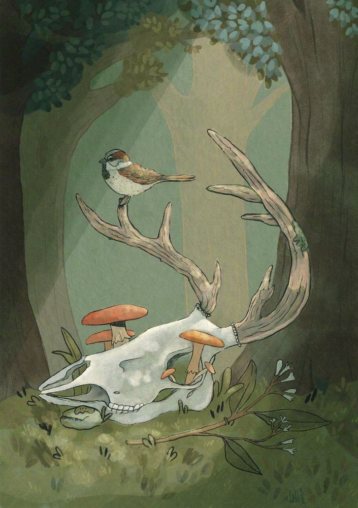 An Illustration of a sunlit clearing in a forest where a sparrow rests on the antler of a deer skull. Mushrooms grow up through the eye sockets of the skull and a fallen budding tree branch lays next to the skull.