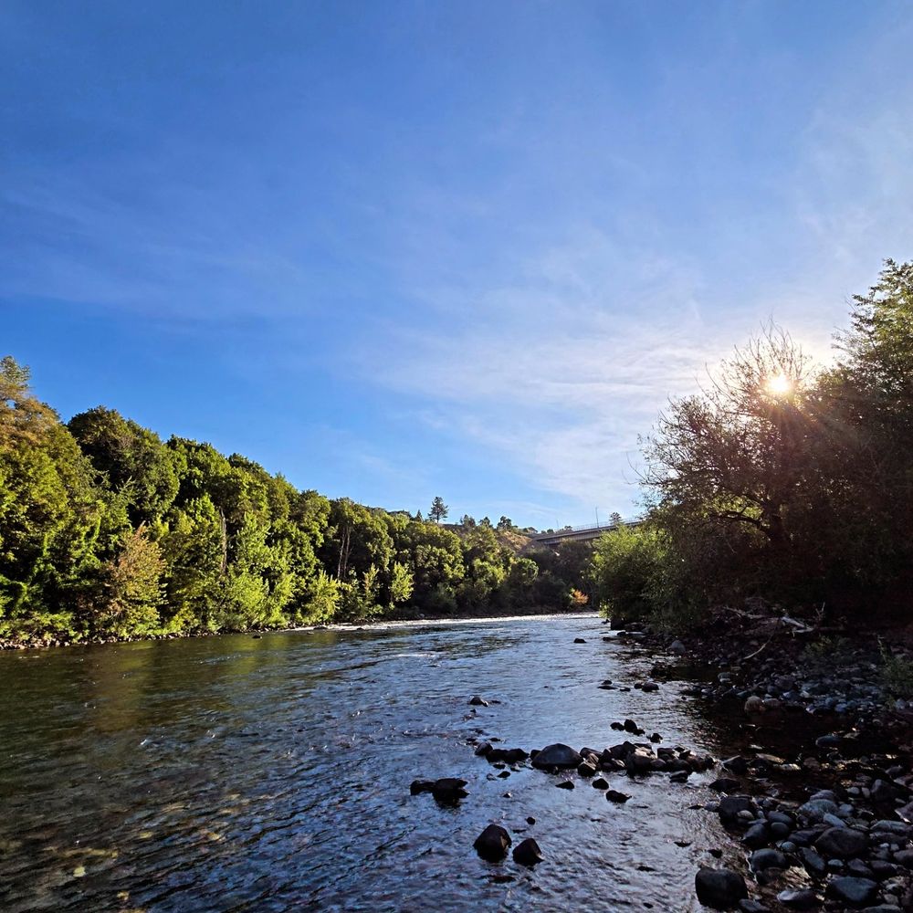 A morning view of the Spokane River with willows and other trees lining a broad river. Large stones compose the banks and the sun is shining in a bright blue sky