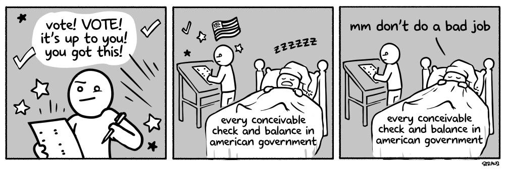 Web comic about voting