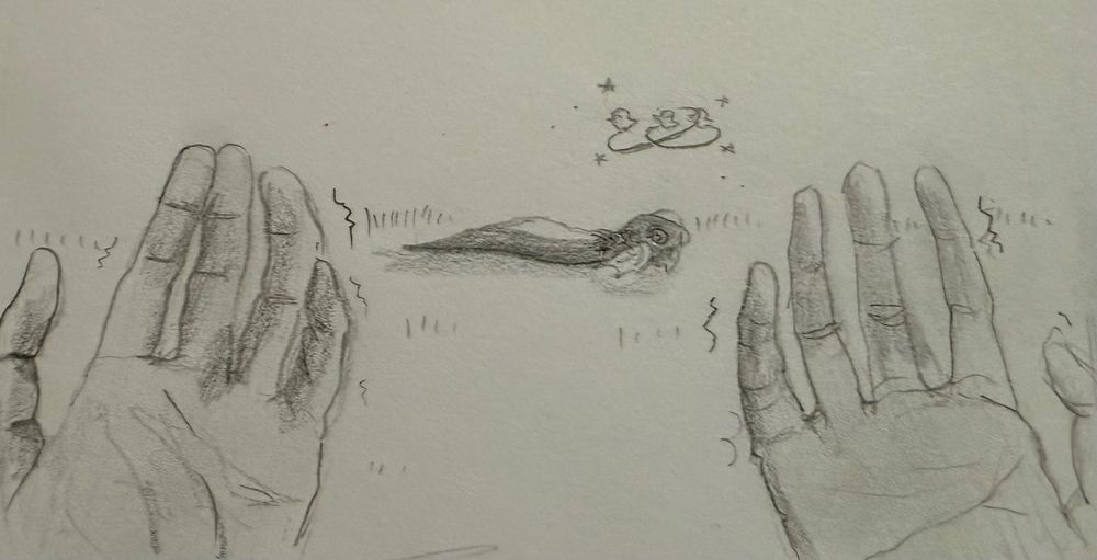 dratini on the ground after YOUVE done this smh