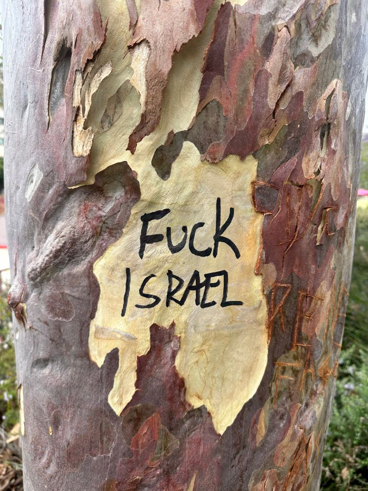 “Fuck Israel” written on a tree 
