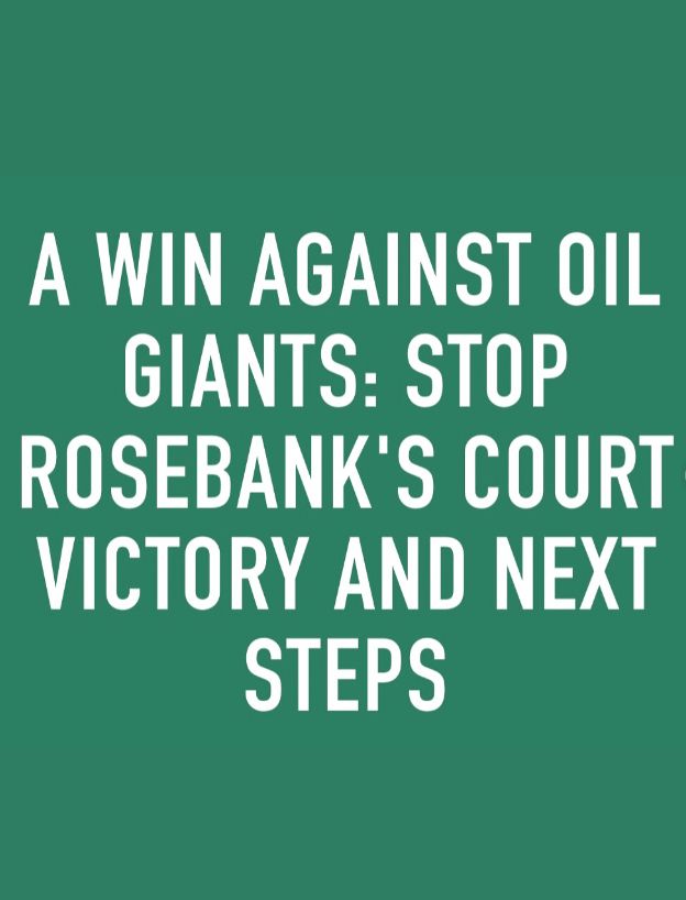 The title of the blog in white letters on green reads: A win against oil giants: Stop Rosebank's court victory and next steps