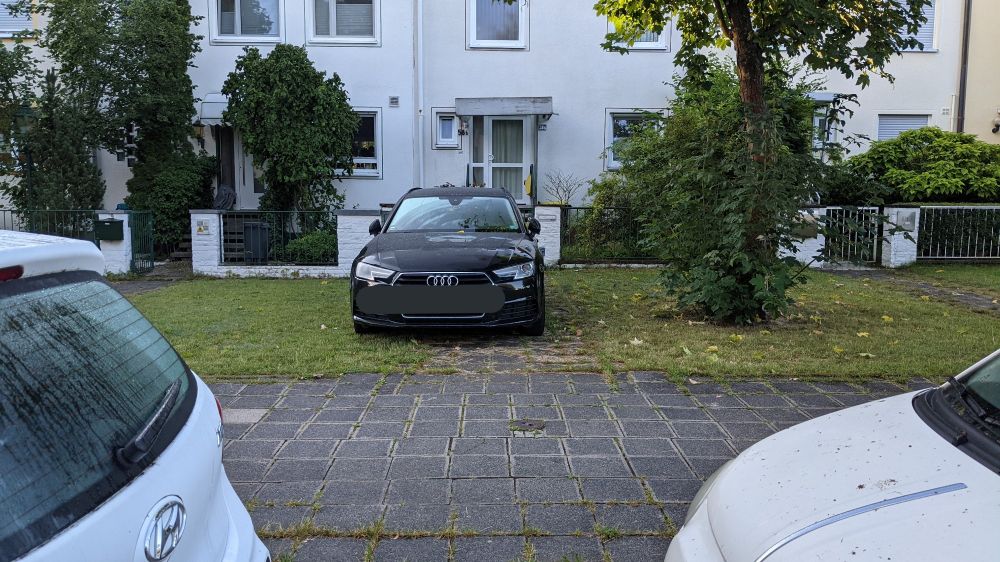 Gleicher Ort vor zwei Jahren. Der Baum damals noch deutlich vitaler.