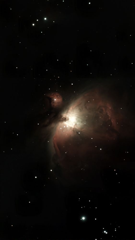 Comment image