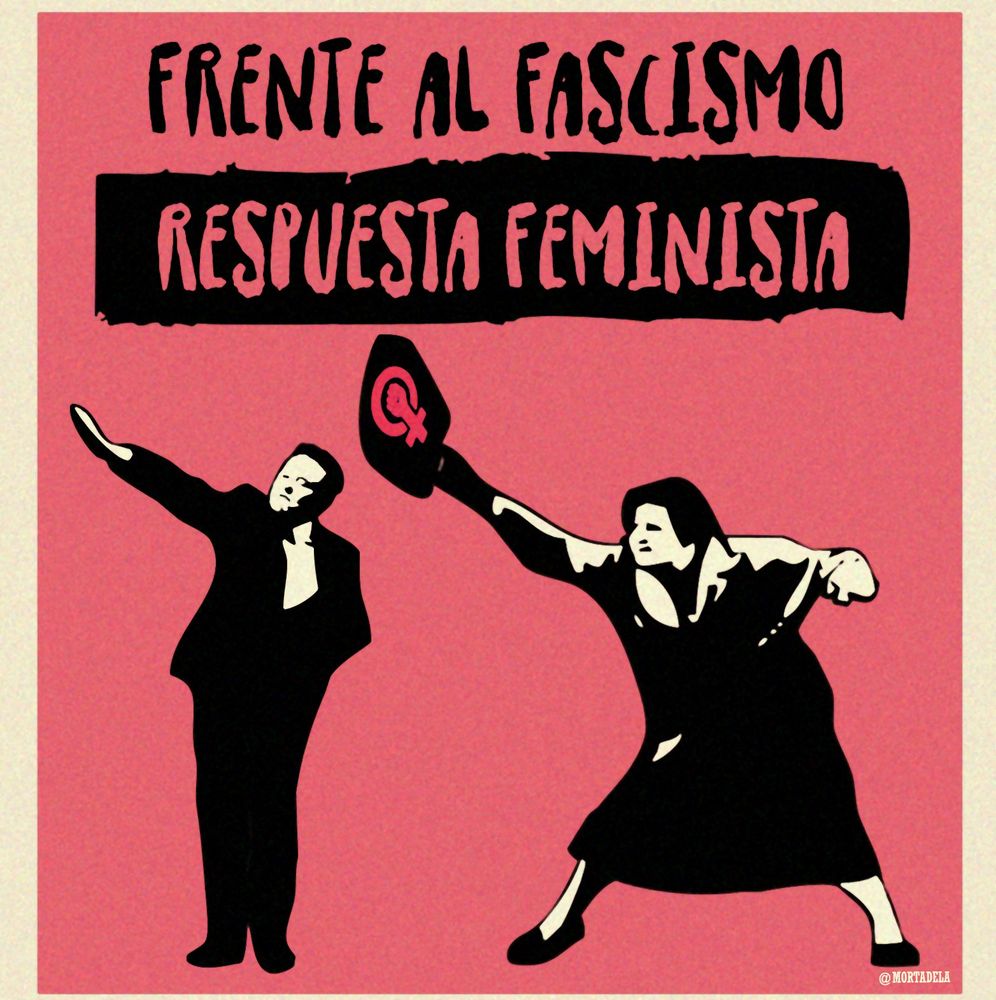 Diseño con Danuta dando un bolsazo a Musk y el texto: Frente al fascismo, respuesta feminista.