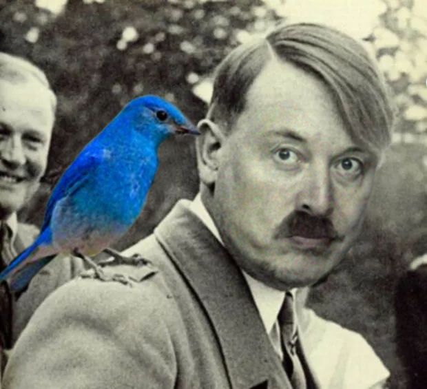 Elon Musk con bigote y flequillo de Hitler, con un pájaro azul en el hombro a modo de paloma mensajera.