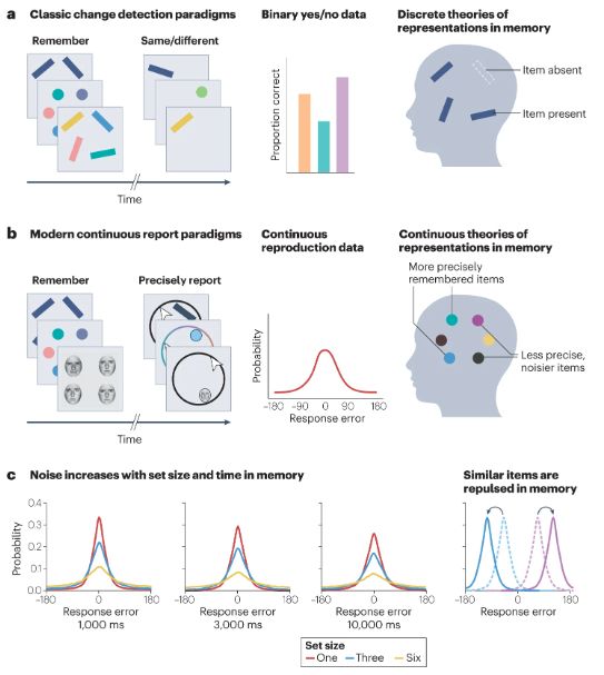 Categorical and continuous reproductions in memory