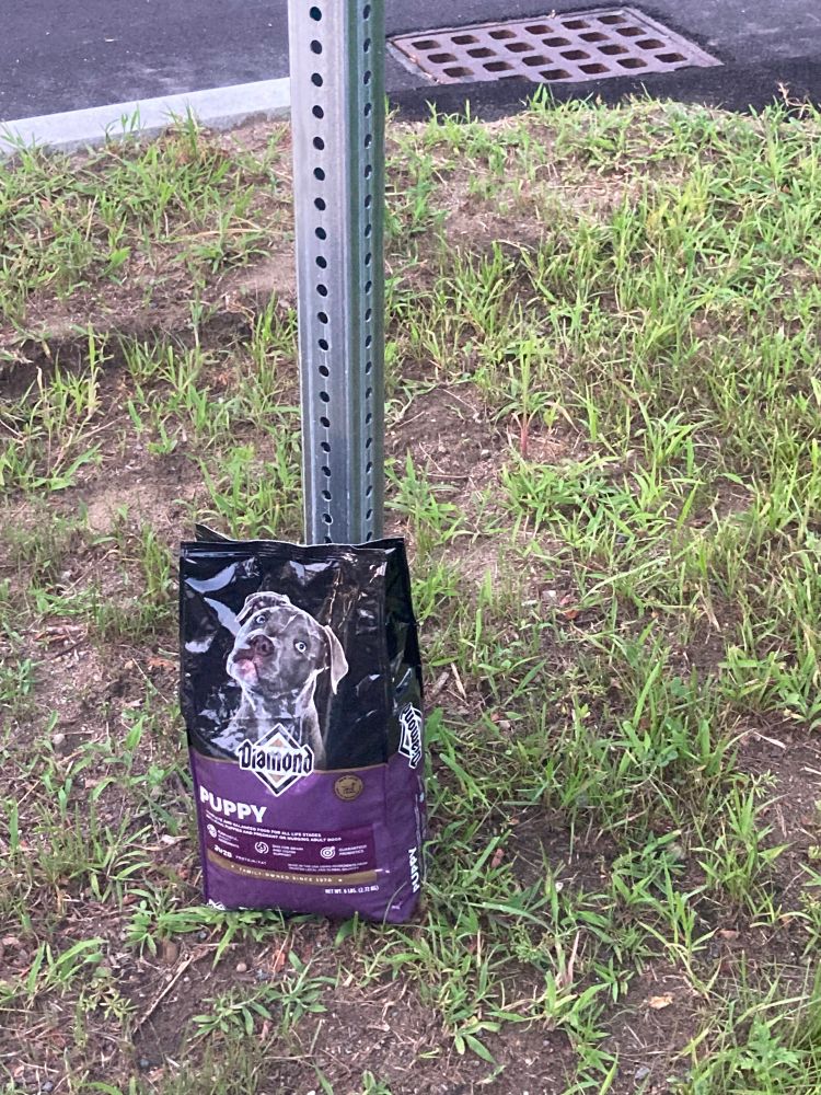 A picture of an unopened bag of puppy chow leaning on a sign post framed in raggedy grass and dirt. 