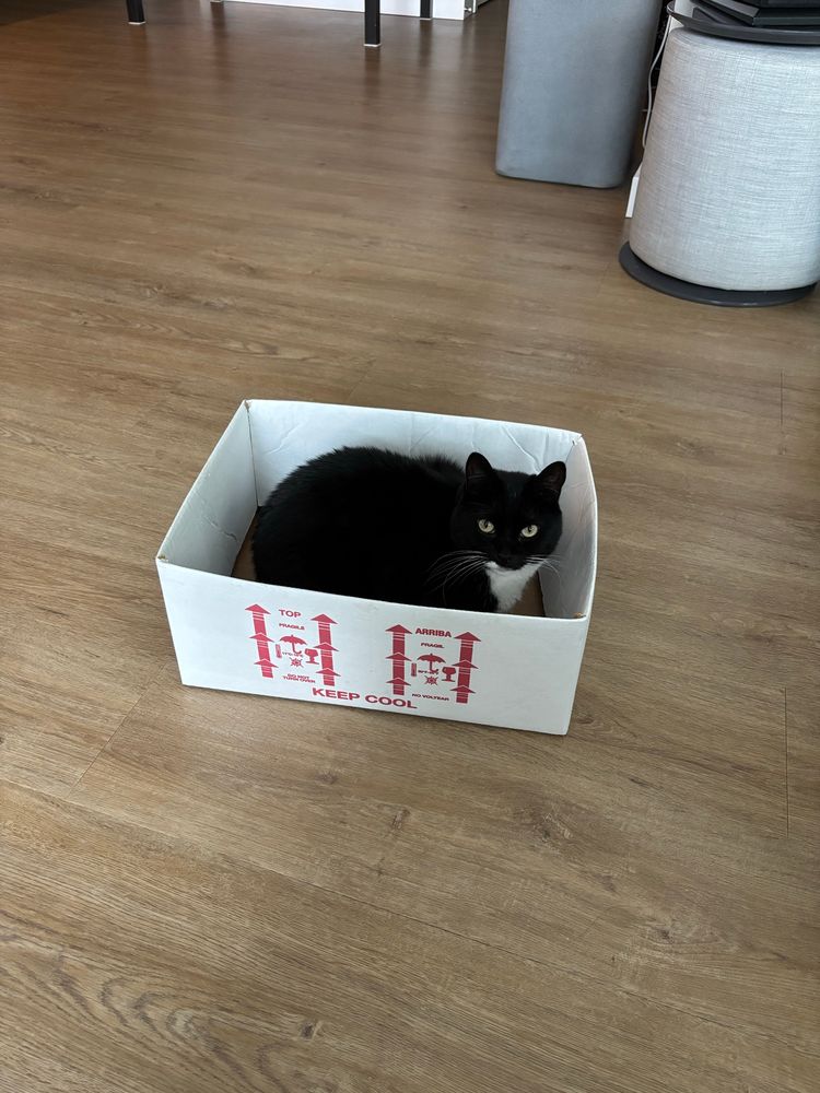 Moxie in a box