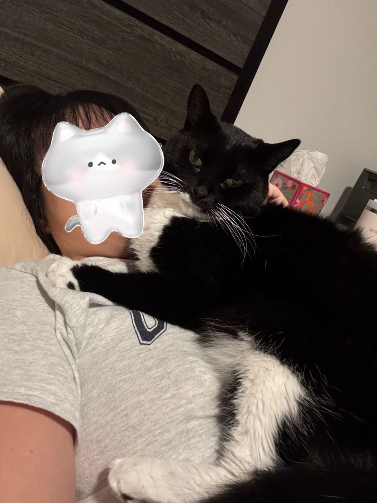 Moxie lying down on my chest