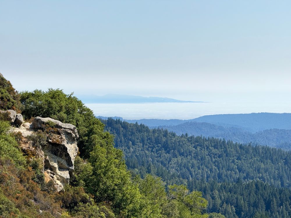 View from the trail looking at Santa Cruz bay covered in fog