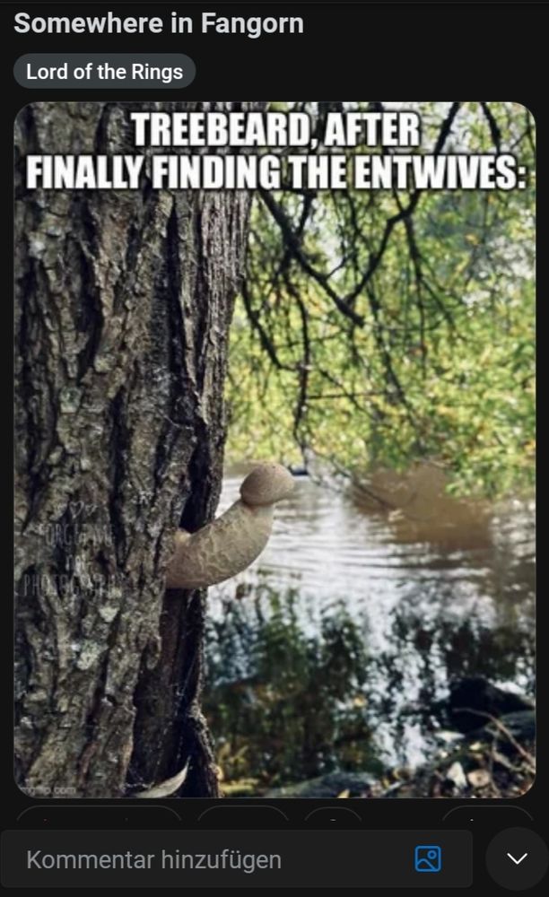 Are these Entwives really, thaaaat Attractive~?