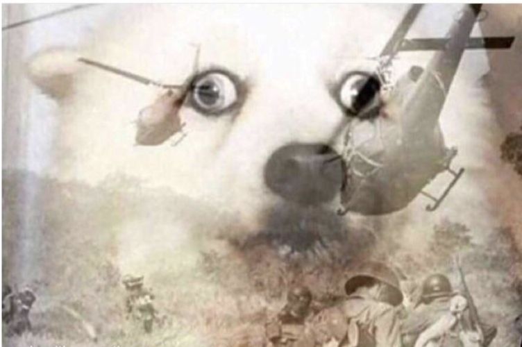 Comment image